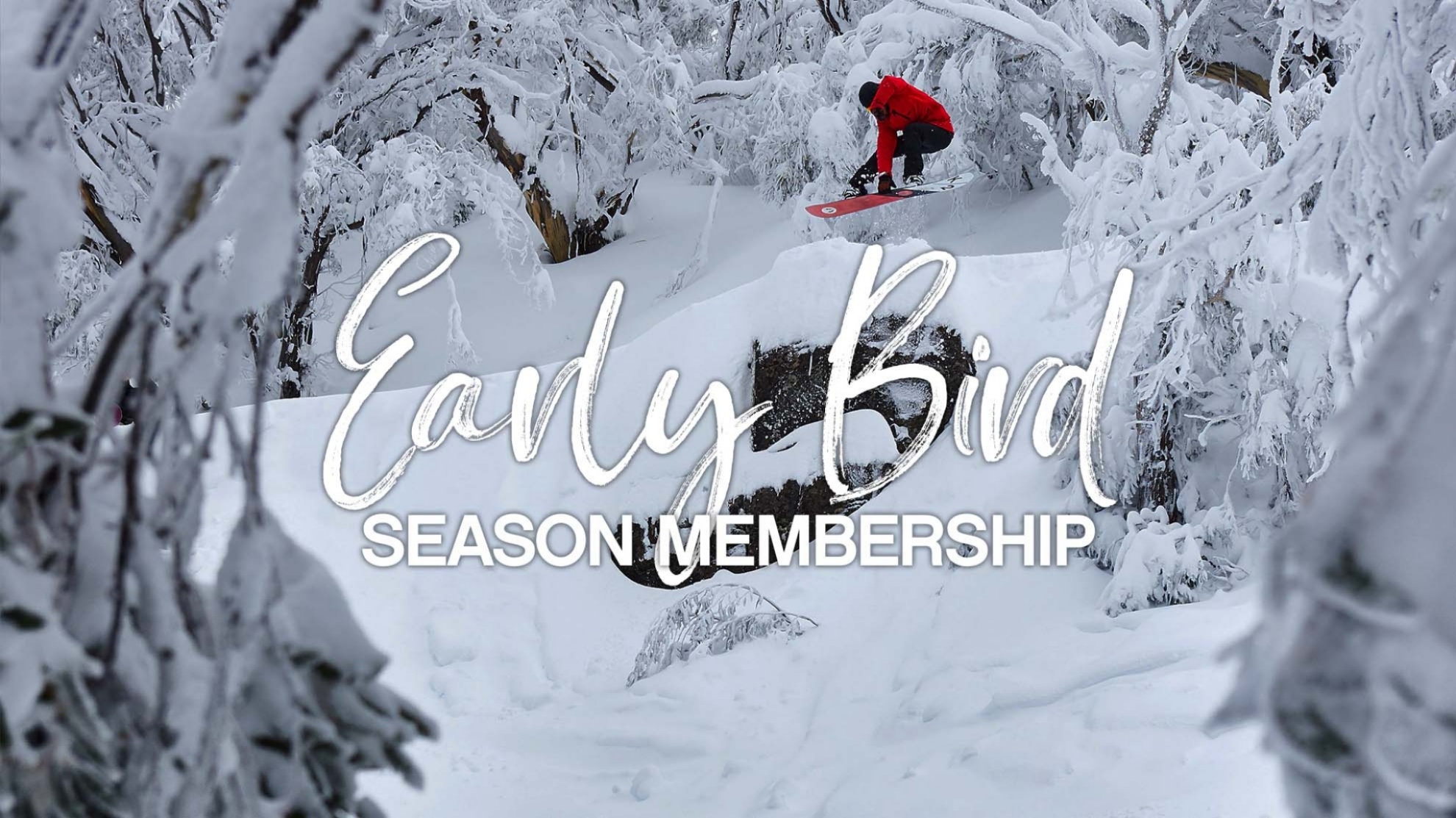 Picture of 2025 Early Bird Season Membership